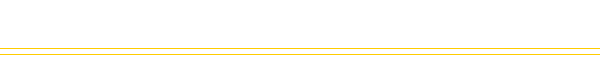 Vision